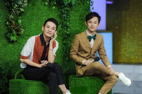 何炅爆料维嘉恋人视频播放,揭秘明星背后的甜蜜故事